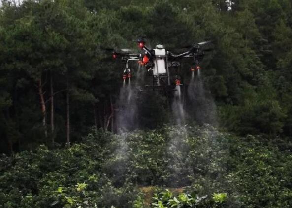 1576199955129995.jpg QQ截圖20191213091752.jpg